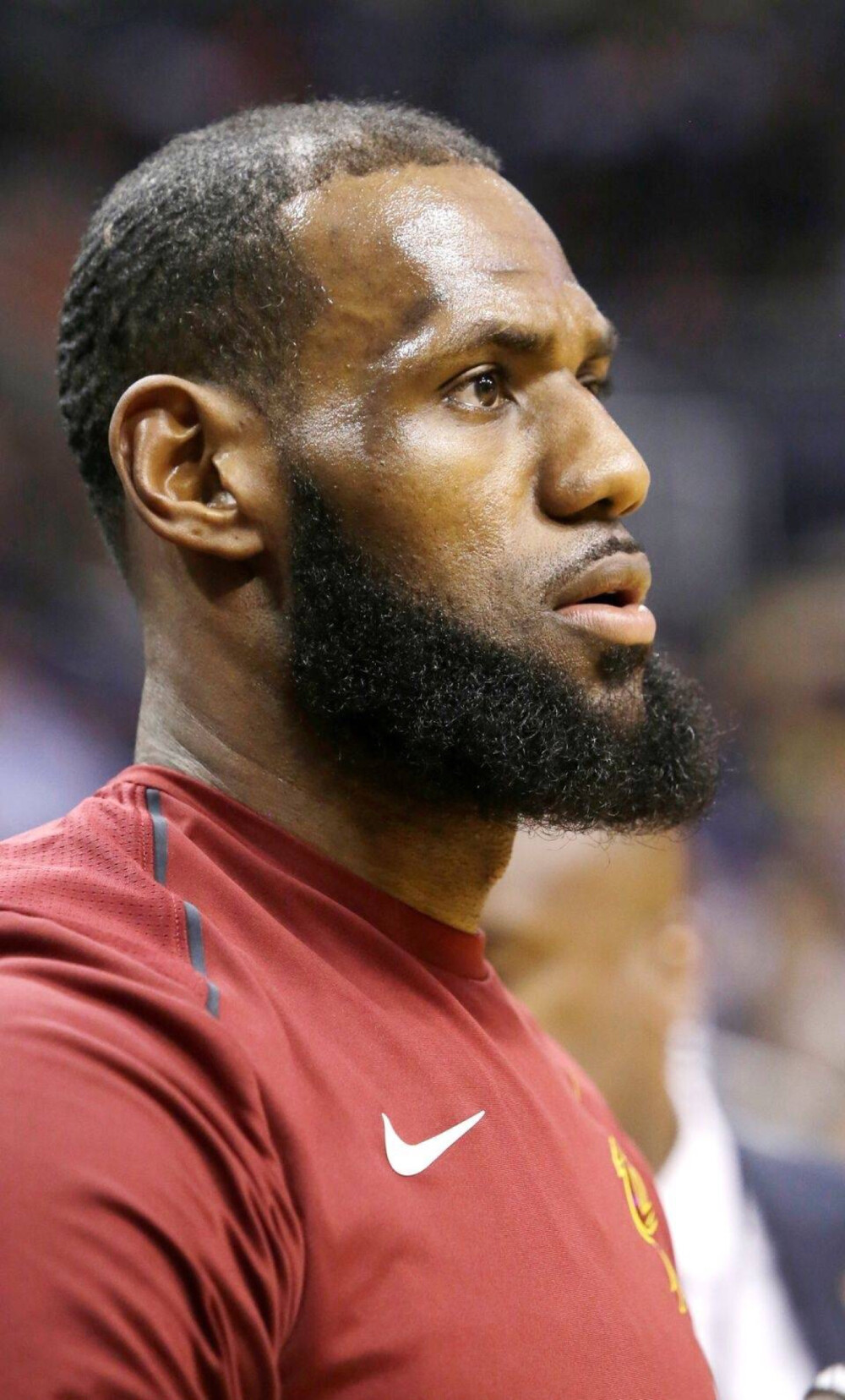 提供西语沟 提供西语沟