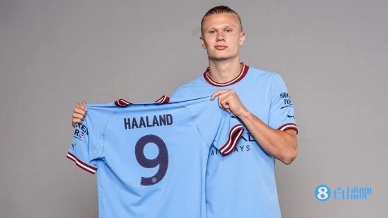 毛球整体生 毛球整体生